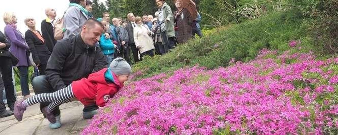 6700 gatunków roślin na 25 hektarach 6700 gatunków roślin na 25 hektarach