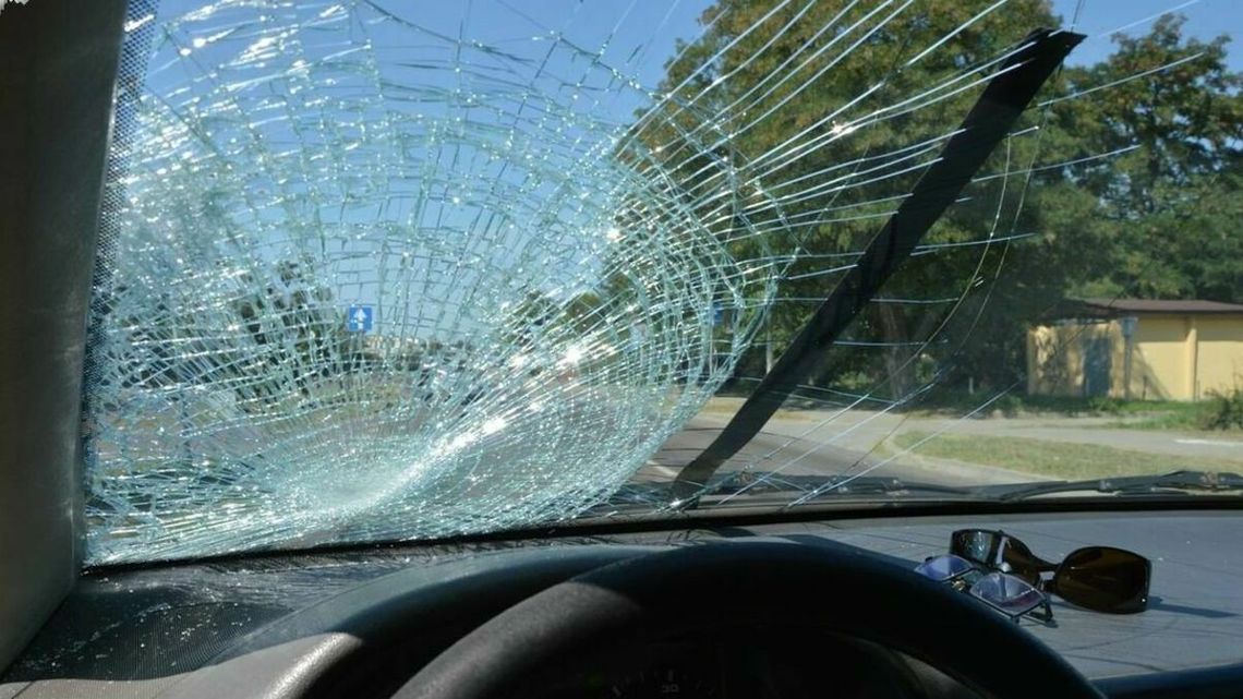 7 pogrzebów mniej ofiar potrąceń na „zebrach” 7 pogrzebów mniej ofiar potrąceń na „zebrach”