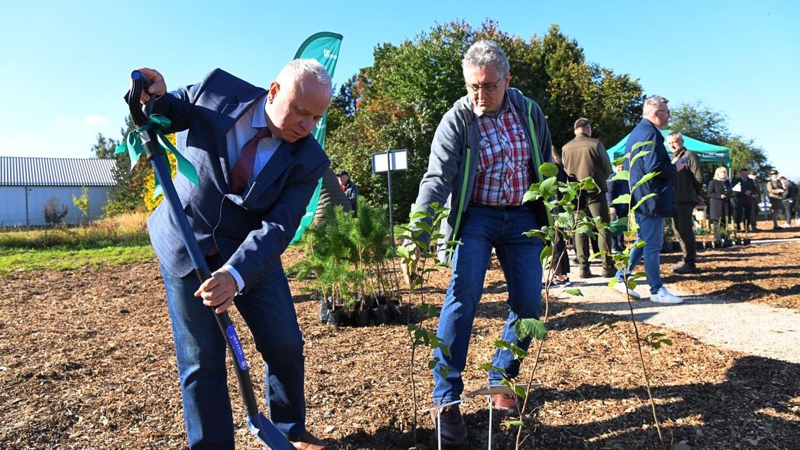 70 drzew na 70 lat. Uniwersytet Przyrodniczy stworzył ogród dendrologiczny 70 drzew na 70 lat. Uniwersytet Przyrodniczy stworzył ogród dendrologiczny