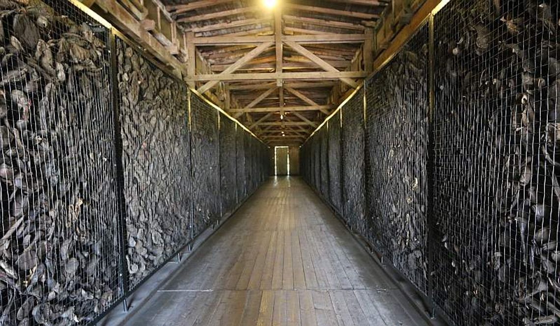 70 lat temu zlikwidowano obóz na Majdanku. Co zobaczyli zachodni dziennikarze?