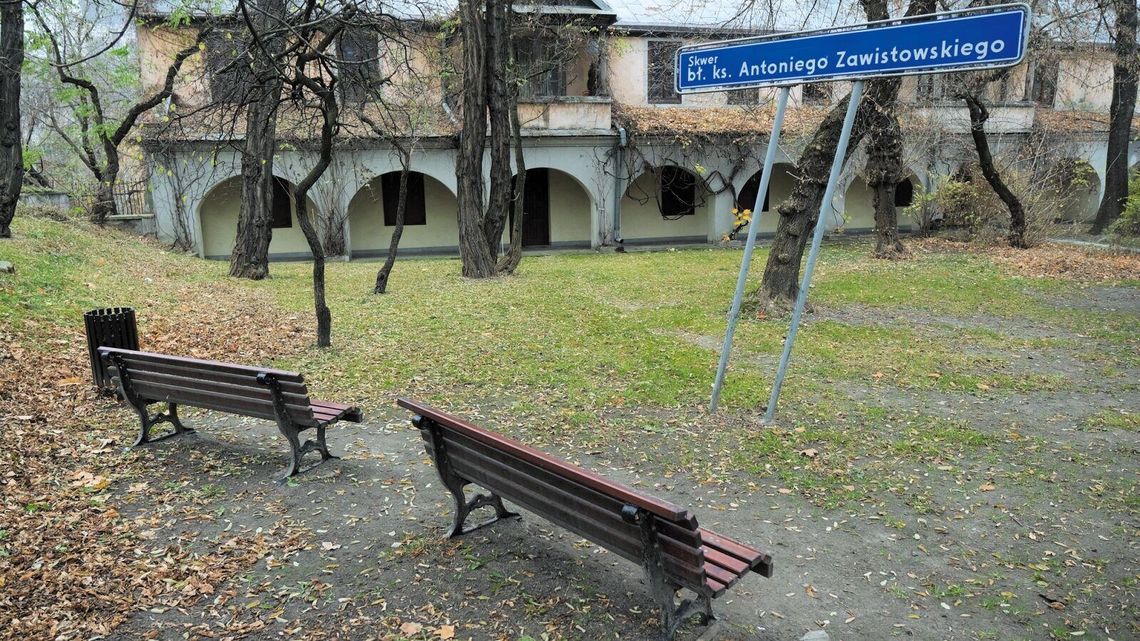 75 pomysłów na zieleń w Lublinie. Teraz ocenią je eksperci