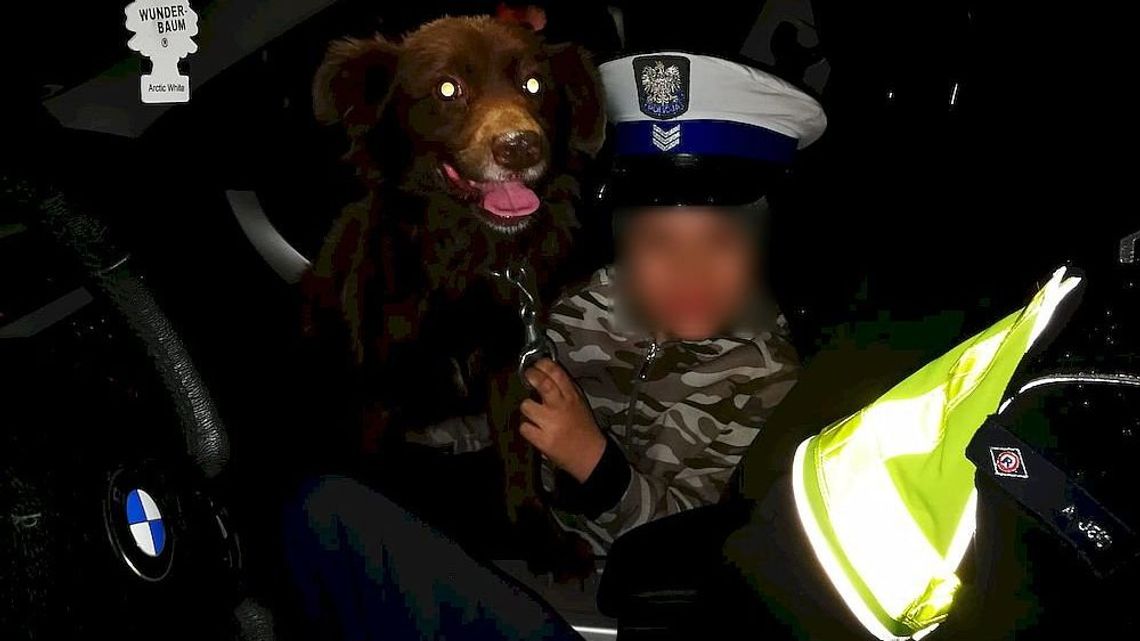 8-latek wybiegł za pieskiem i zaginął. Szukali go wszyscy policjanci w mieście