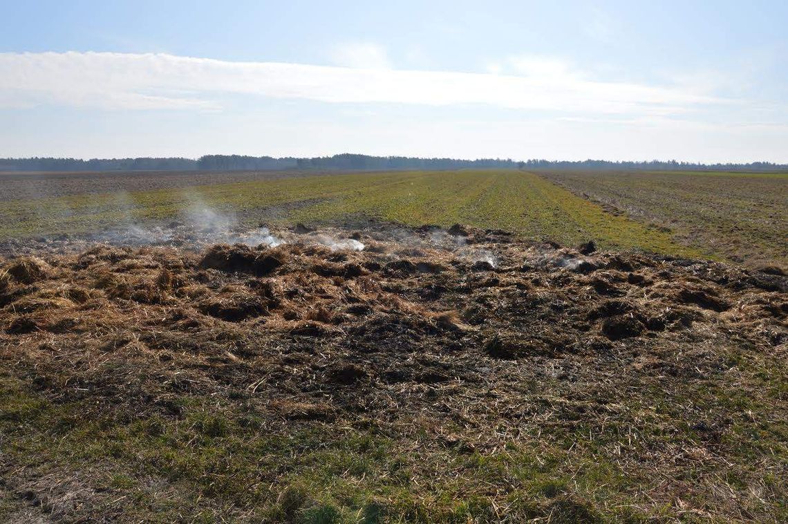 8-latek z 11-latkiem podpalili słomę. 1200 zł strat