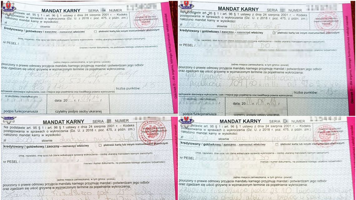 8 mandatów na kwotę 14 tys. zł i 39 pkt karnych