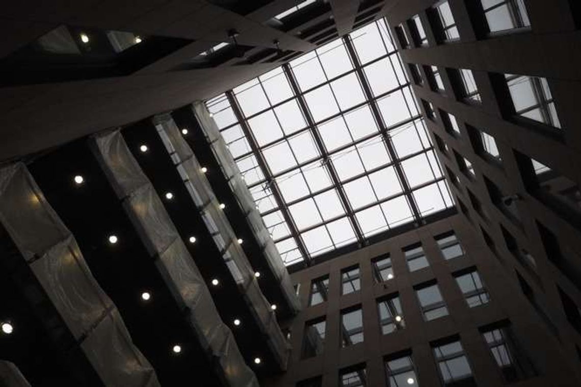 8-metrowe bambusy staną w nowej siedzibie Urzędu Marszałkowskiego (wideo, zdjęcia) 8-metrowe bambusy staną w nowej siedzibie Urzędu Marszałkowskiego (wideo, zdjęcia)