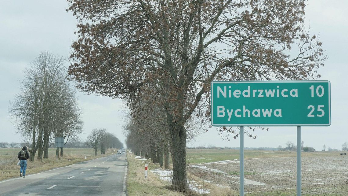 9 kilometrów drogi. 659 drzew do wycinki 9 kilometrów drogi. 659 drzew do wycinki