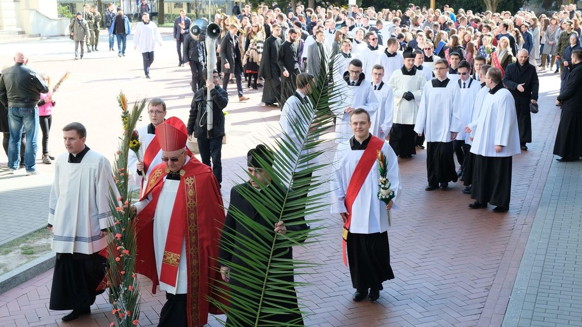 Abp. Budzik: Gdyby Biblia była telefonem komórkowym. Czy czulibyśmy się bez niej nieswojo? Abp. Budzik: Gdyby Biblia była telefonem komórkowym. Czy czulibyśmy się bez niej nieswojo?