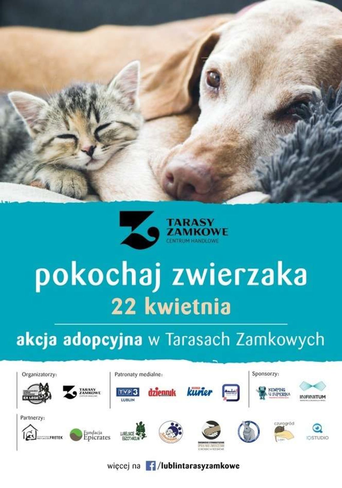 Adoptuj zwierzaka. Akcja w Tarasach Zamkowych