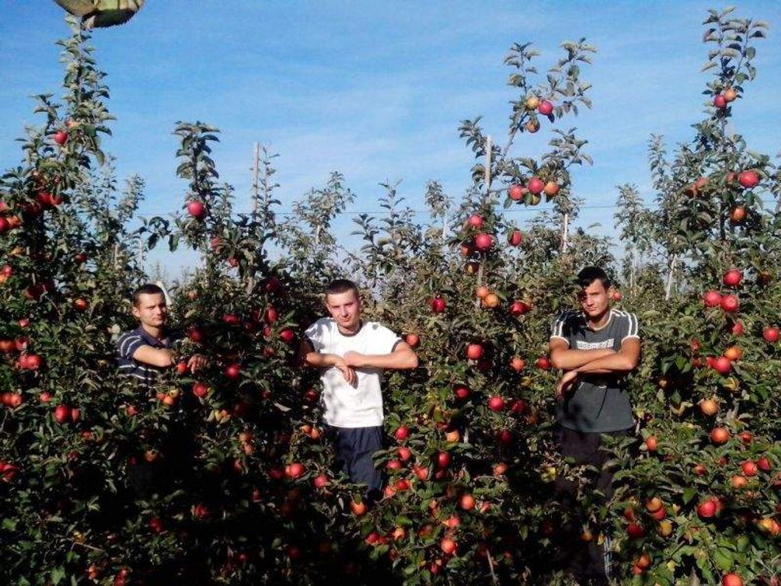 Adrian, Damian i Rafał Palus, Marysin w powiecie krasnostawskim Adrian, Damian i Rafał Palus, Marysin w powiecie krasnostawskim