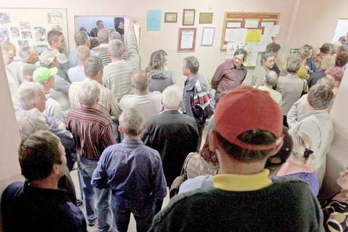 Afera sadzonkowa w Wilkowie: Sadzonki podzielono legalnie ale nie bezstronnie