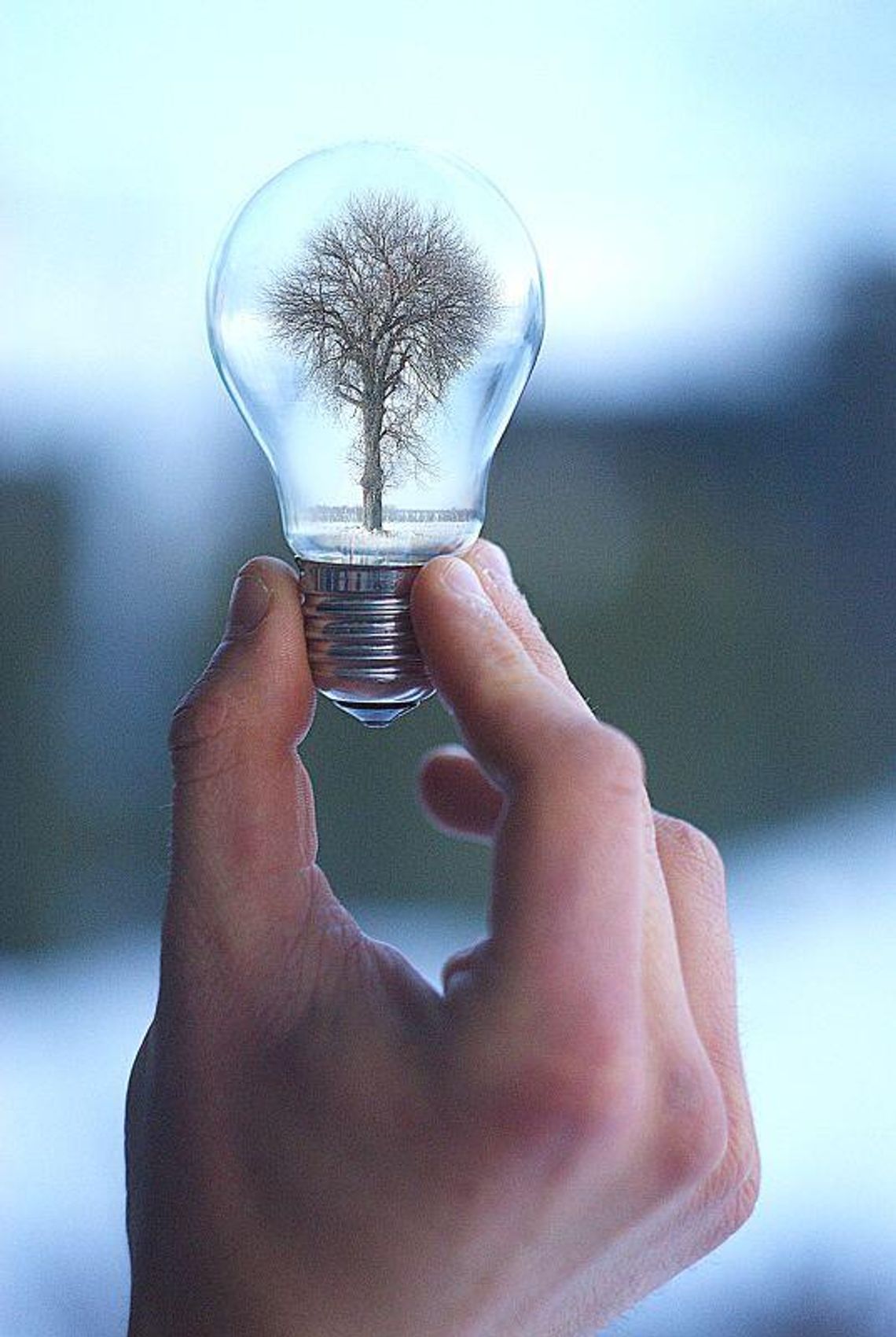 Agata Mroczek z Gimnazjum w Niemcach finalistką ogólnoświatowego konkursu 