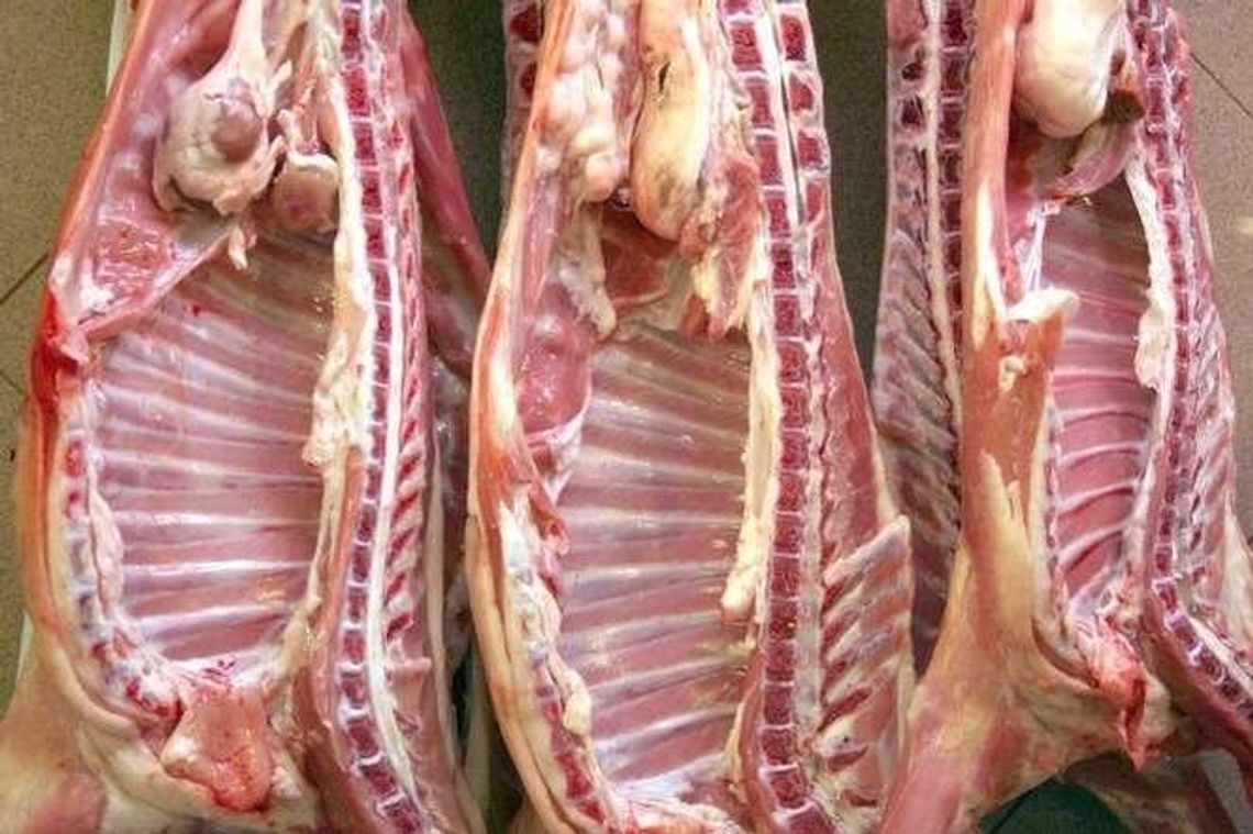 Agencja Rynku Rolnego dopłaca do prywatnego przechowywania wieprzowiny