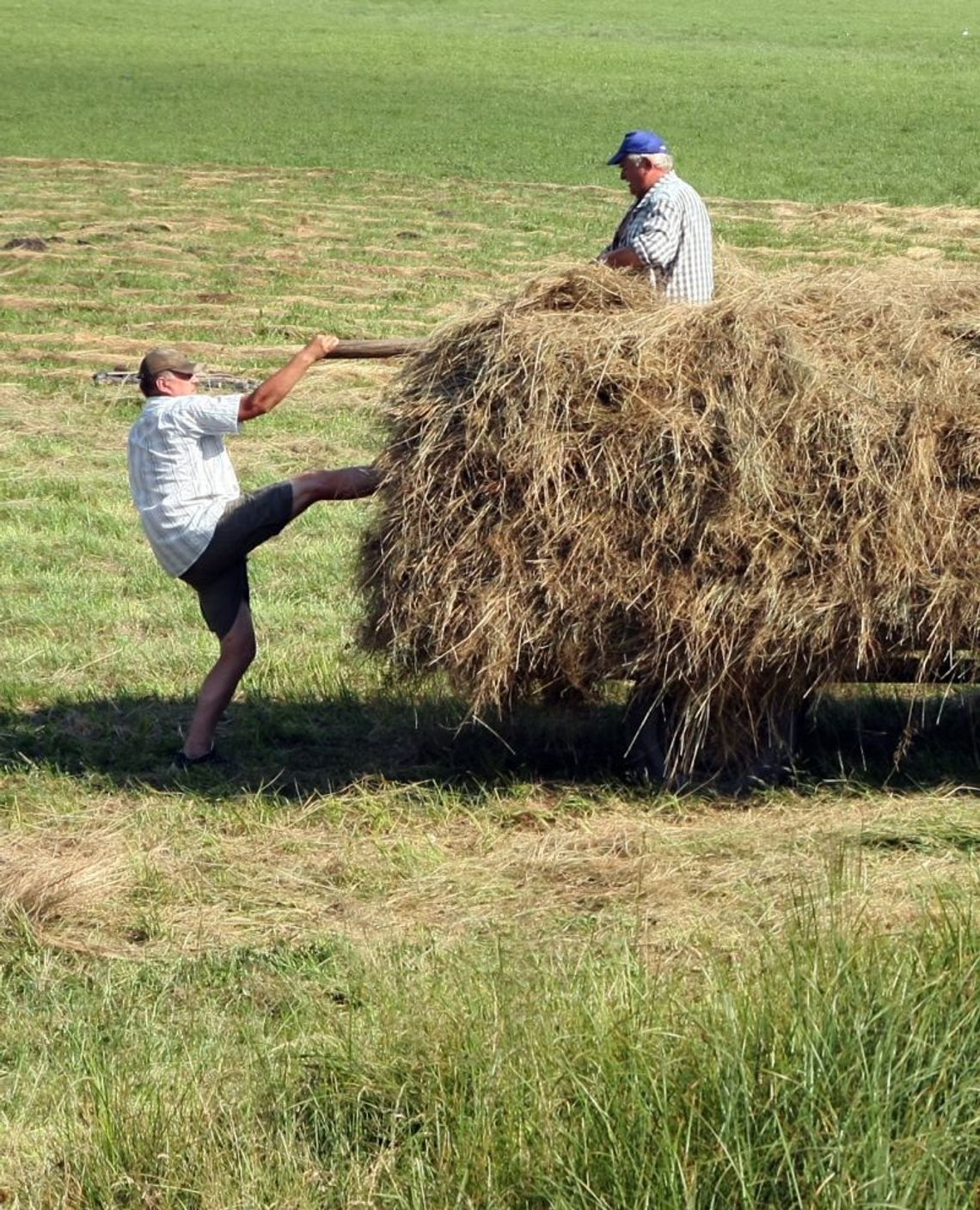 Agrobiznes: Informacje dla rolników