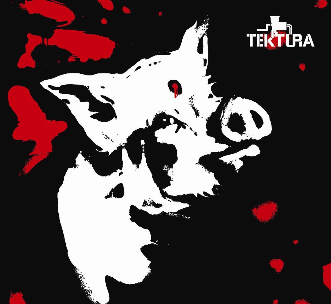 AH1N1 w klubie Tektura