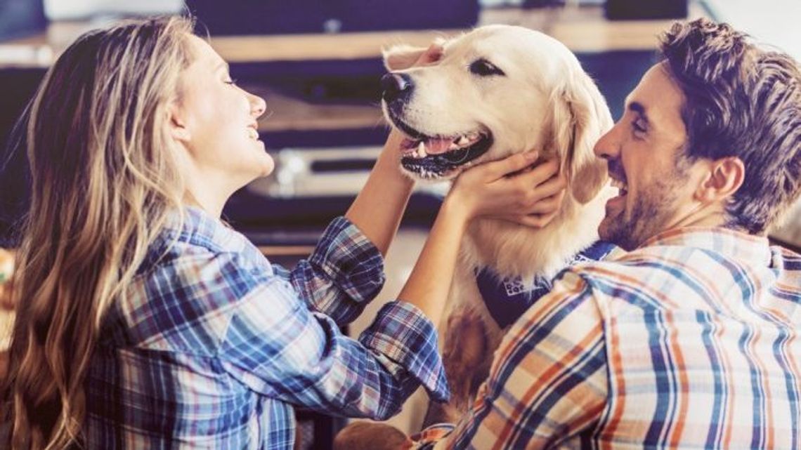 Akcja adopcyjna "Pokochaj Zwierzaka" w VIVO! Lublin