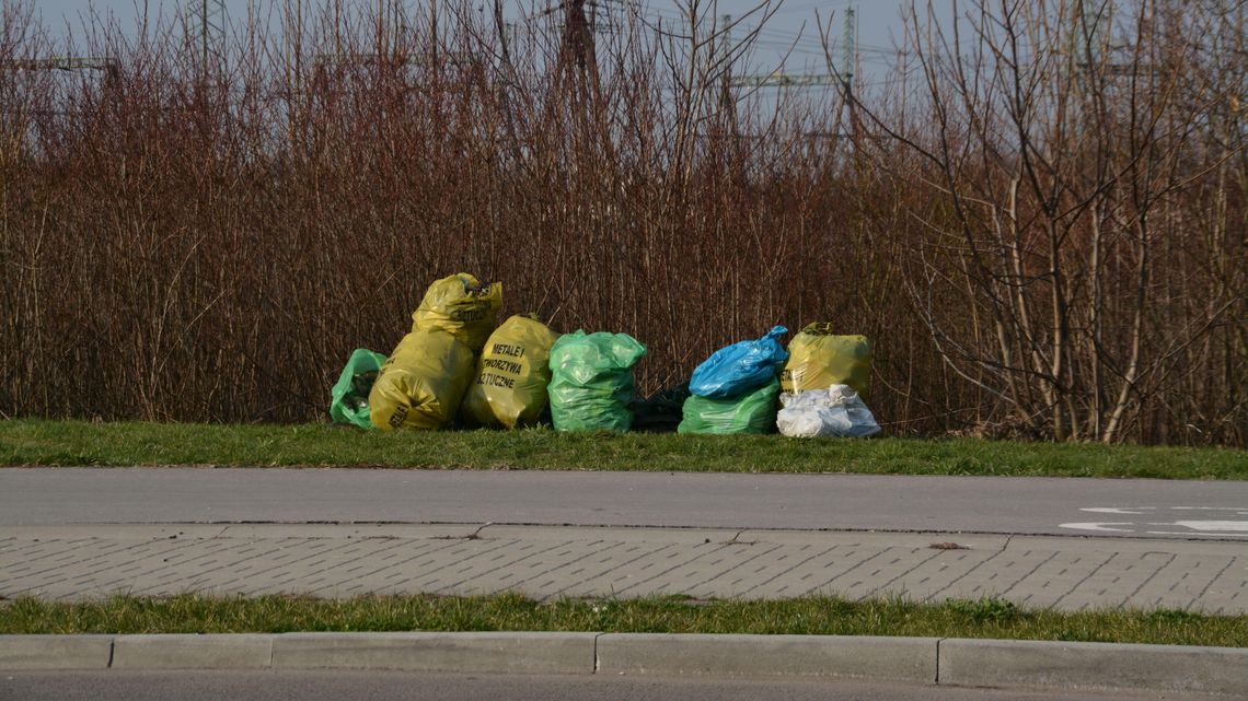 Akcja „Czysty Chełm”. Wzięło w niej udział 3,3 tys uczniów i przedszkolaków