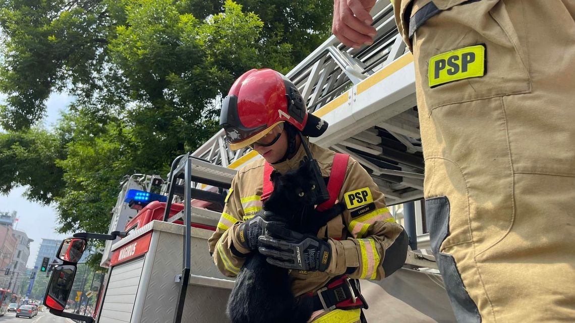 Akcja „kot” przy Krakowskim Przedmieściu. Strażacy ratują księżniczkę Leię