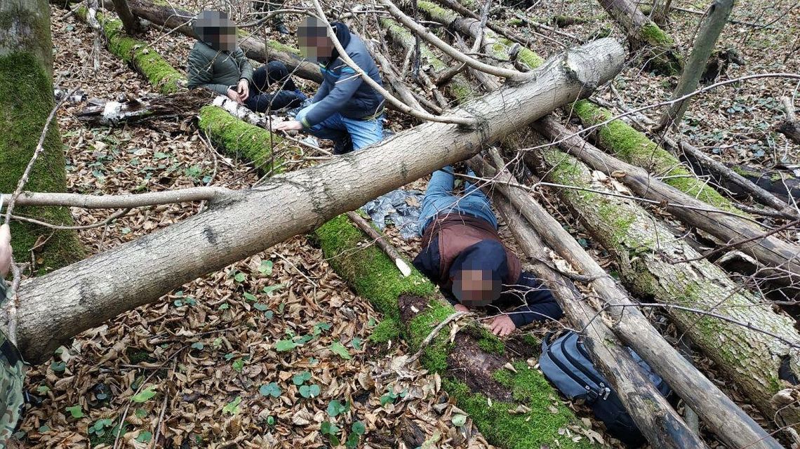 Akcja na granicy polsko-ukraińskiej. Oni ukrywali się w lesie