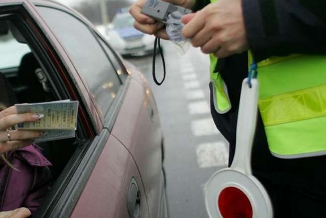 Akcja NURD. Piesi i kierowcy pod lupą policjantów