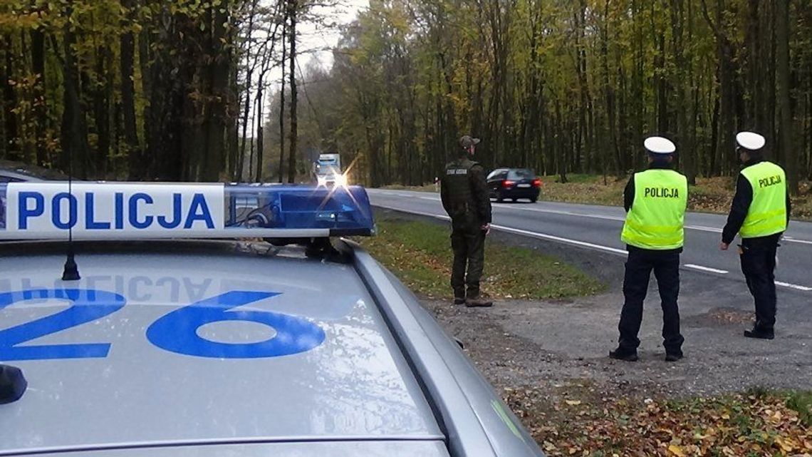 Akcja "Stroisz" w Kraśniku. Ma związek z 1 listopada. Kontrole będą też na targowiskach Akcja "Stroisz" w Kraśniku. Ma związek z 1 listopada. Kontrole będą też na targowiskach