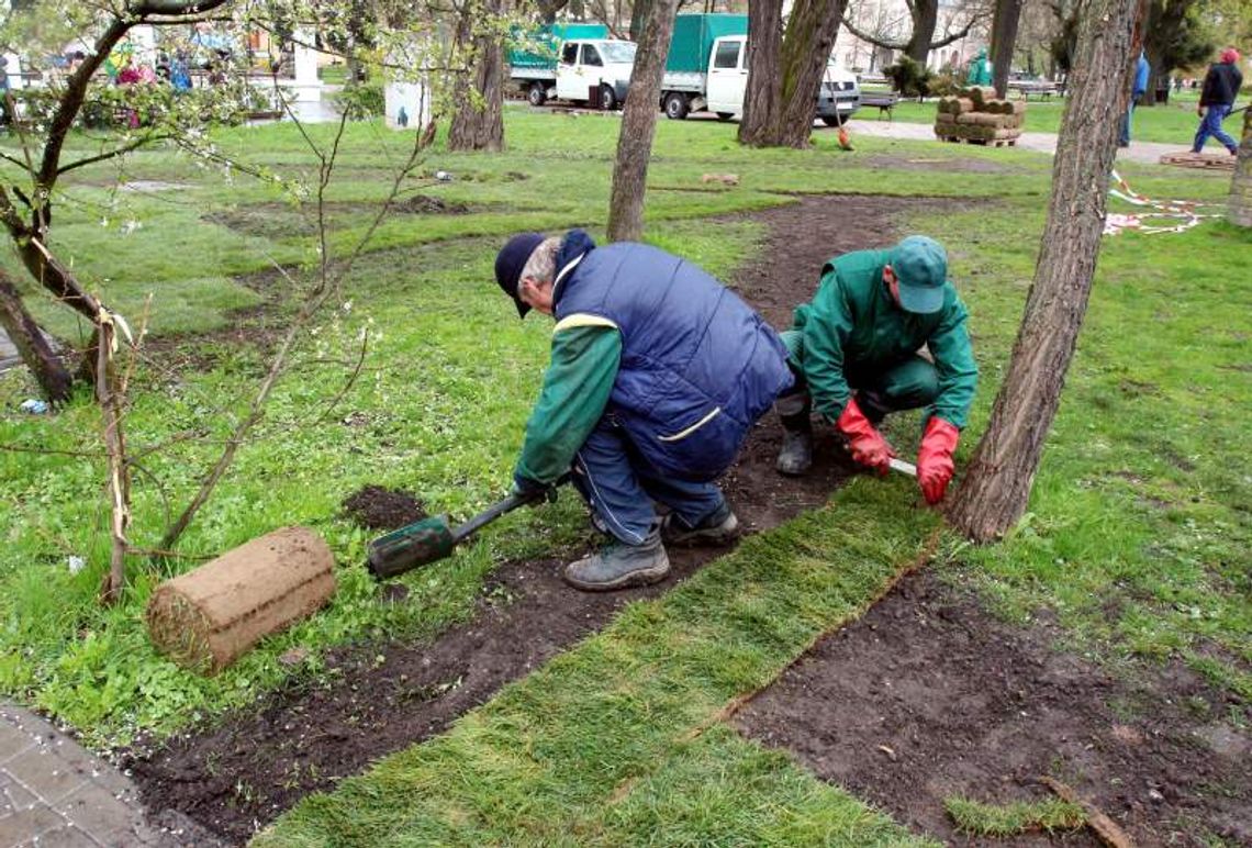 Akcja wydept, czyli jak się łata trawnikiem z rolki