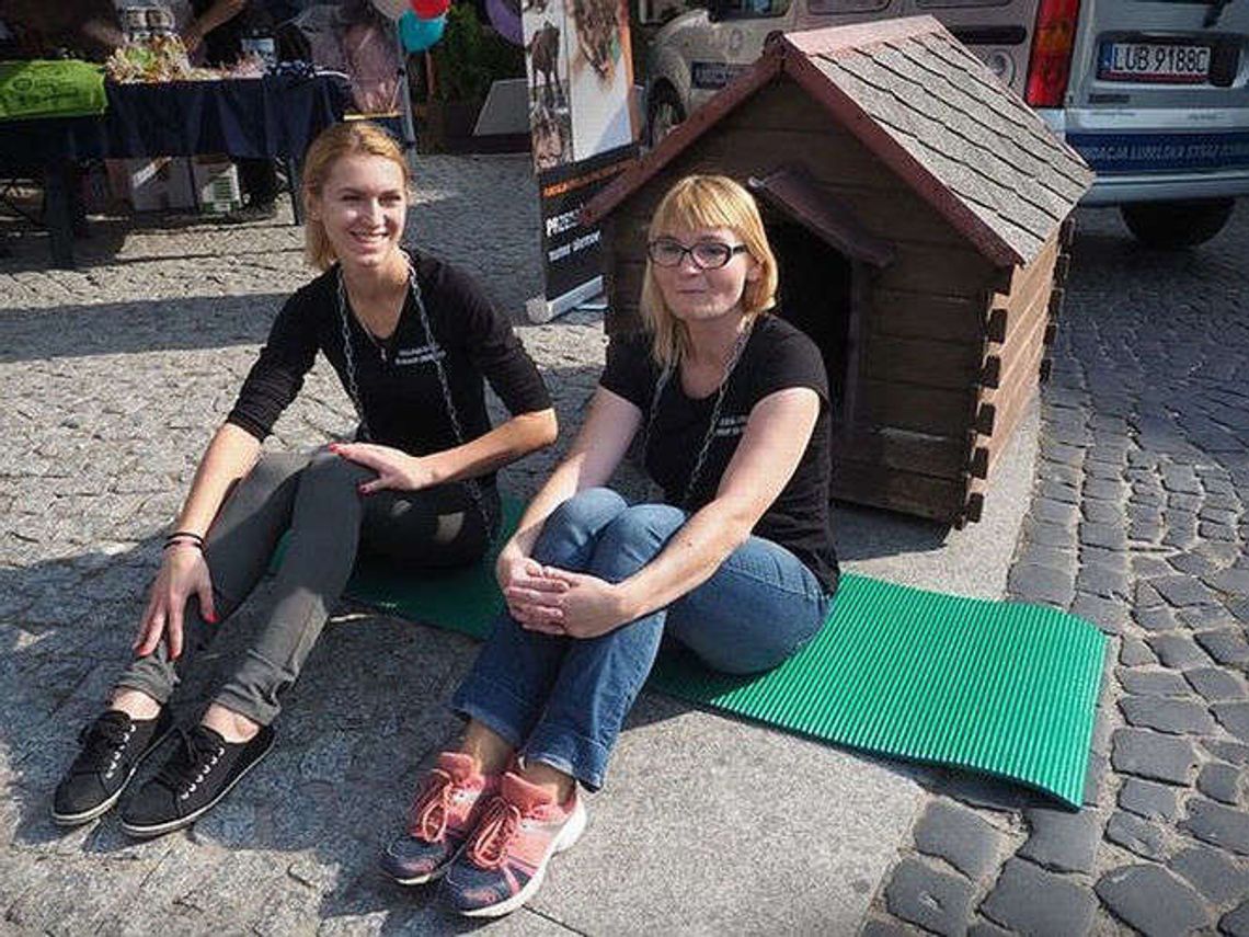 Akcja "Zrywamy Łańcuchy" w Lublinie. Psia buda stanęła przy Bramie Krakowskiej Akcja "Zrywamy Łańcuchy" w Lublinie. Psia buda stanęła przy Bramie Krakowskiej