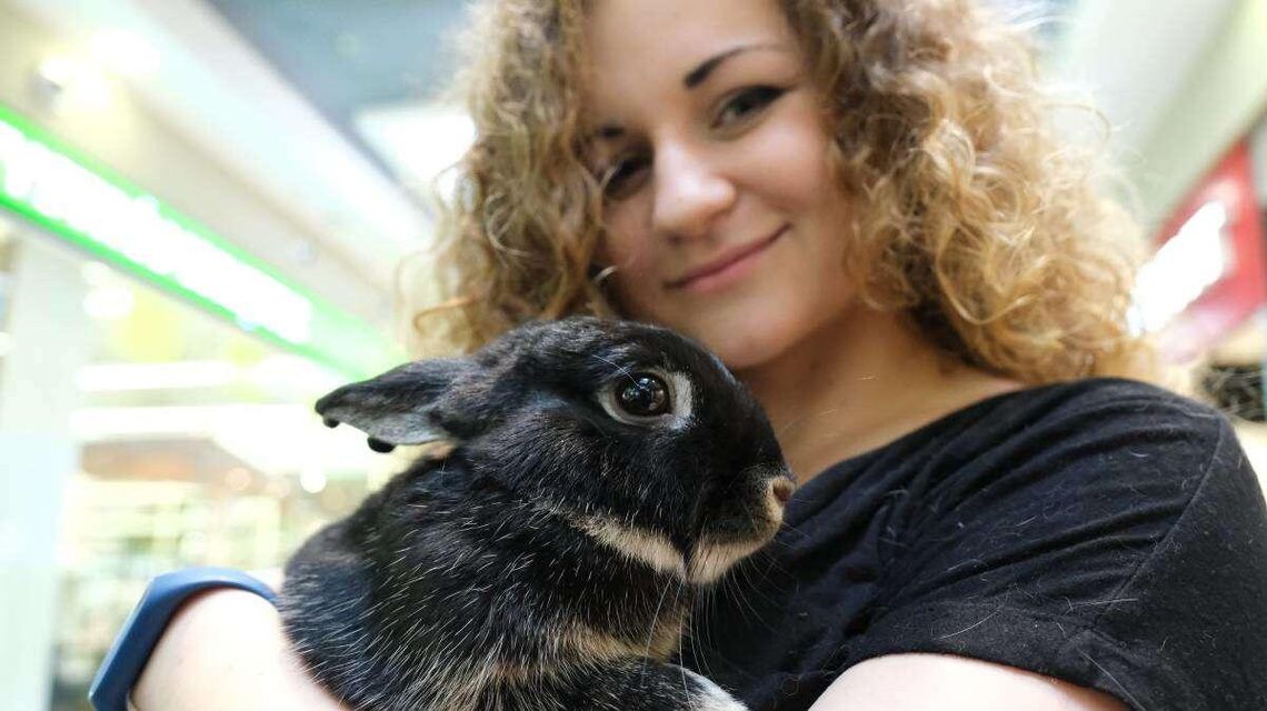 Akcja ZwierzoLublin: Zwierzęta w galerii [zdjęcia]