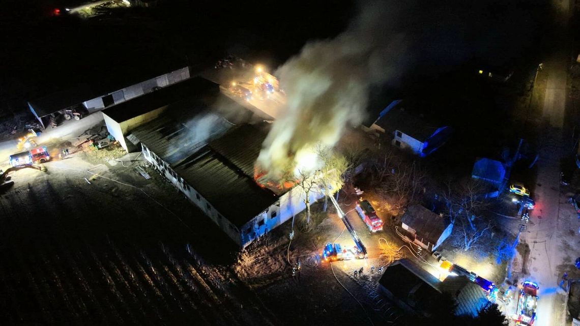 Aktualizacja: Pożar ogromnej hali ze zbożem. Straty oszacowano na 2,5 mln zł Aktualizacja: Pożar ogromnej hali ze zbożem. Straty oszacowano na 2,5 mln zł