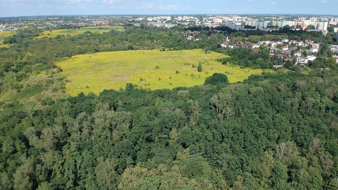 Aktywiści donoszą na Ratusz za chomiki na górkach czechowskich