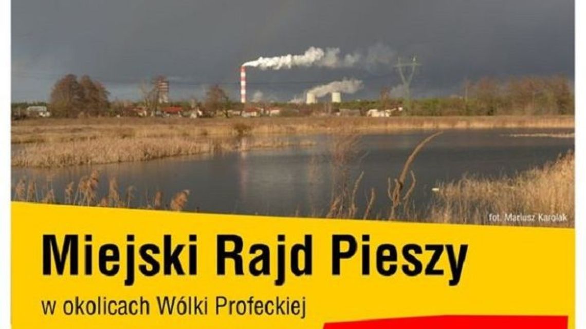 Aktywne Puławy - sportowe propozycje dla mieszkańców