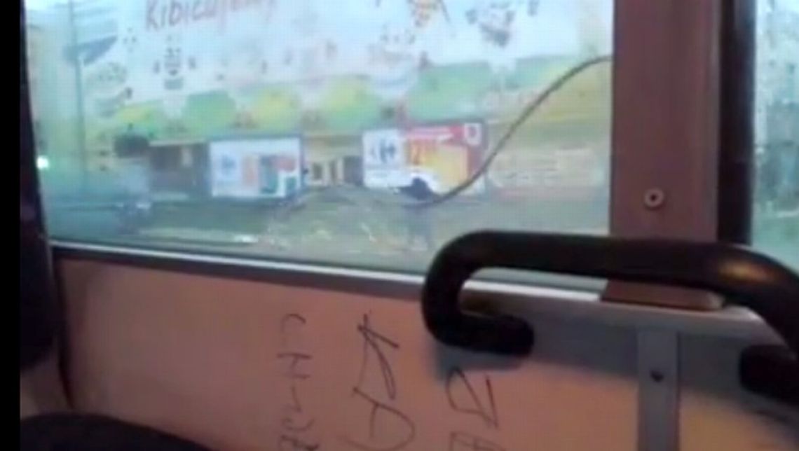 Akwarium w autobusie nr 18 (wideo) Akwarium w autobusie nr 18 (wideo)