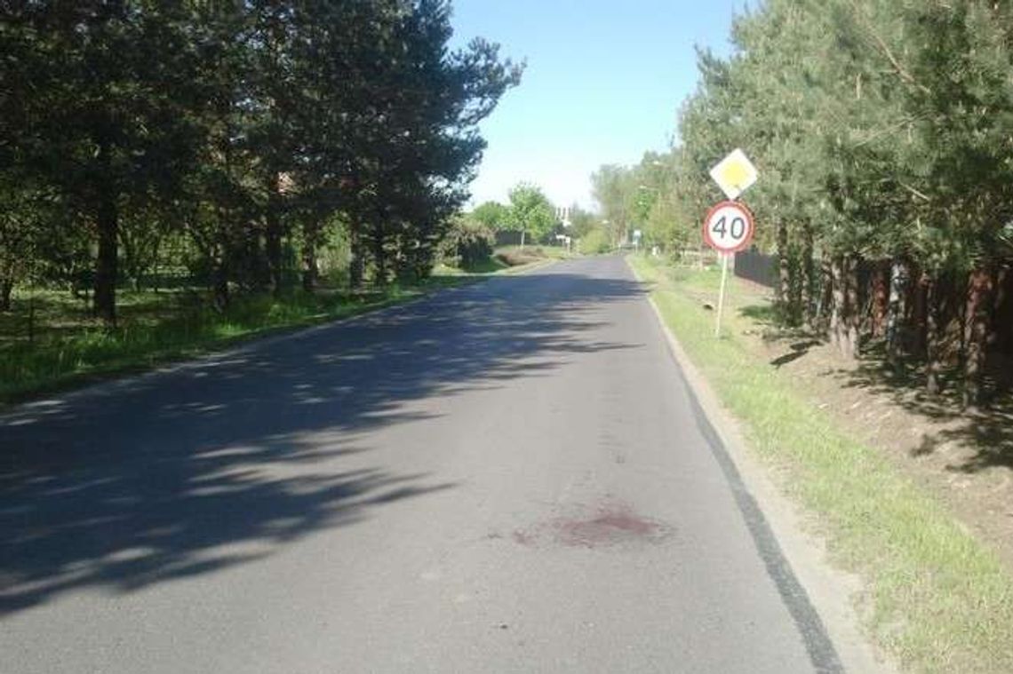 Alarm 24: Kierowca celowo przejechał kota?