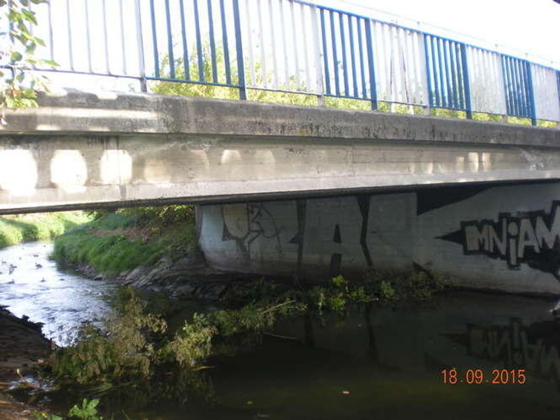 Alarm 24: Po co jeździć na Roztocze, szumy mamy na Czerniejówce