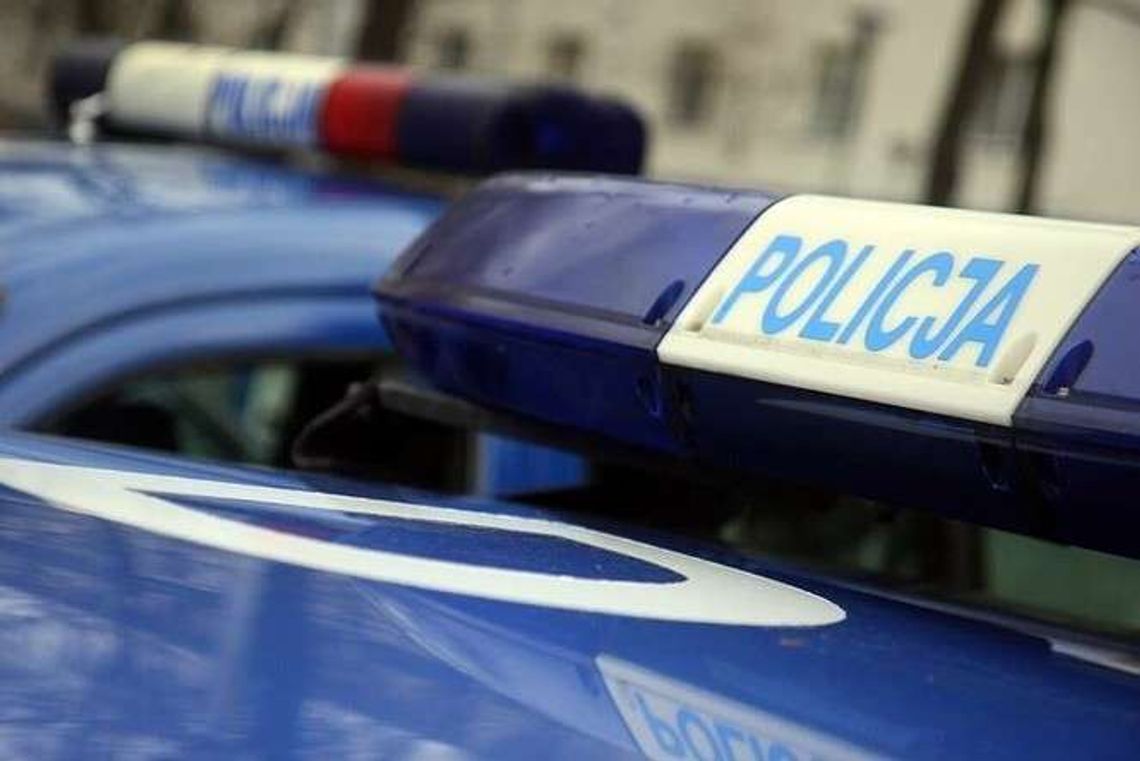 Alarm podczas koncertów na błoniach pod Zamkiem. 32-latek: podłożyłem bombę