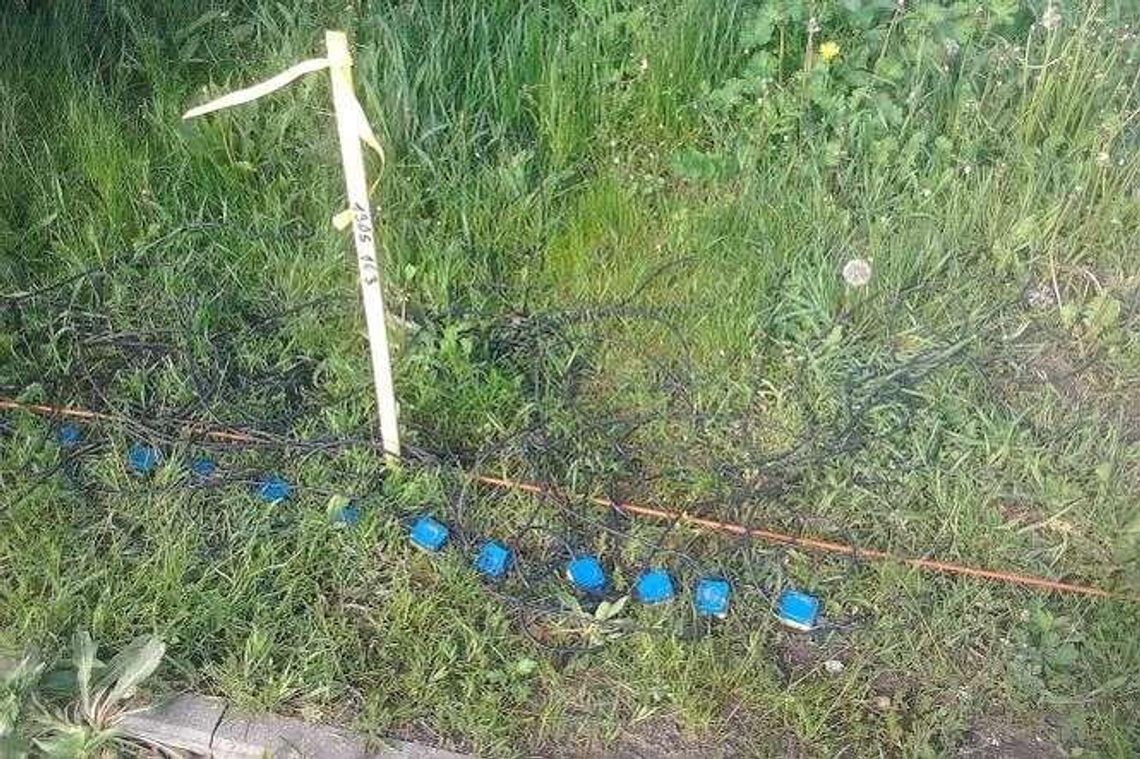 Alarm24: Na os. Borek kable ciągną się wzdłuż ulic. Po co? "To geofony" Alarm24: Na os. Borek kable ciągną się wzdłuż ulic. Po co? "To geofony"