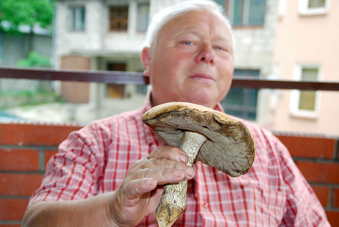 Ale kozak!: Takie grzyby już rosną w lasach