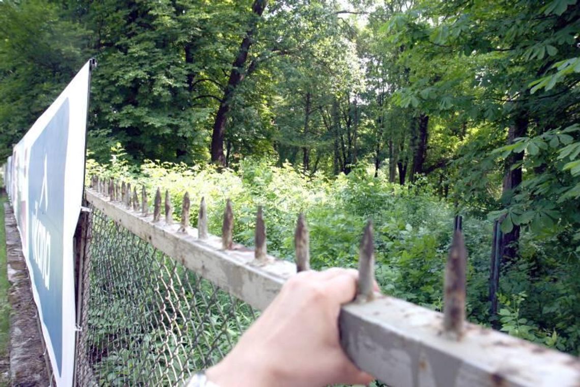 Aleja Kraśnicka: Nowe osiedle zaszkodzi przyrodzie? Aleja Kraśnicka: Nowe osiedle zaszkodzi przyrodzie?