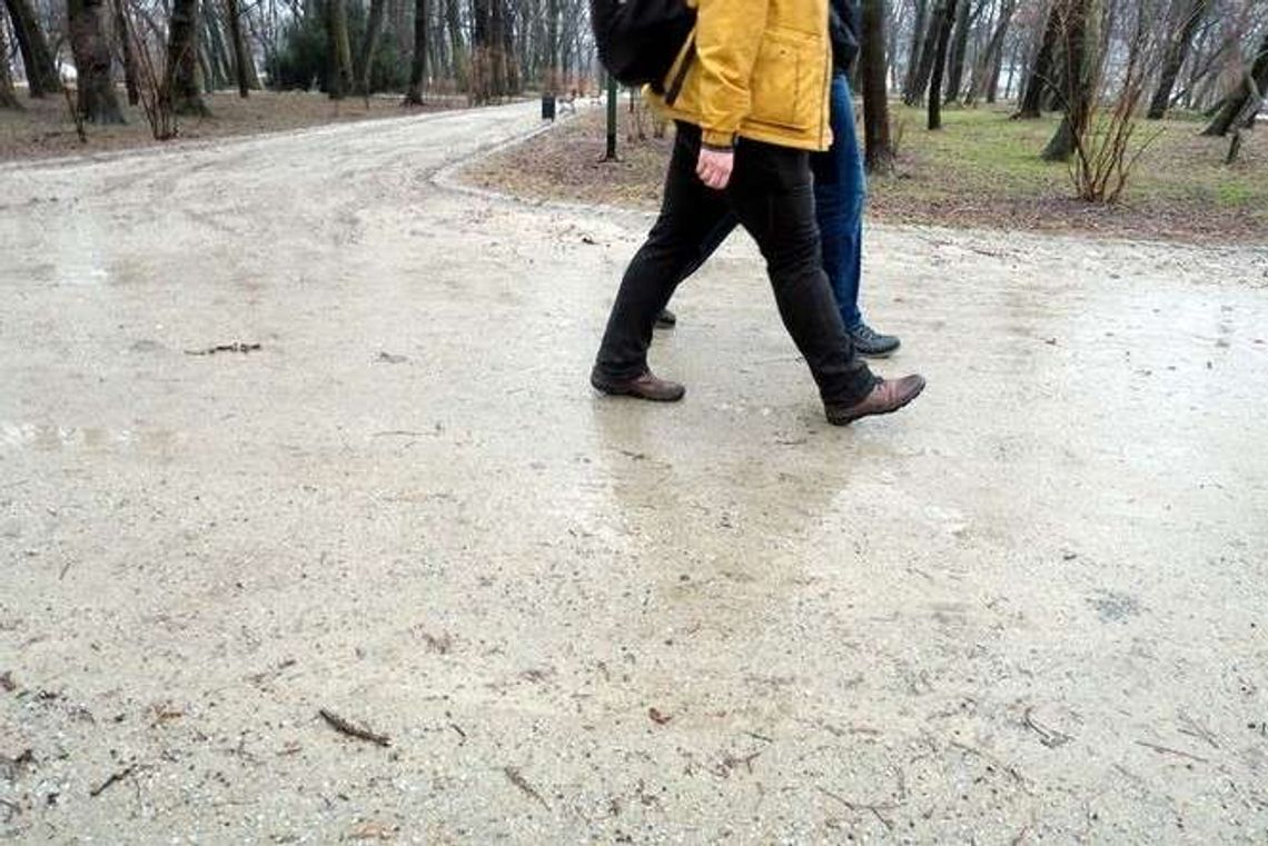 Alejki w Ogrodzie Saskim do wymiany. Zaledwie trzy lata po remoncie parku Alejki w Ogrodzie Saskim do wymiany. Zaledwie trzy lata po remoncie parku