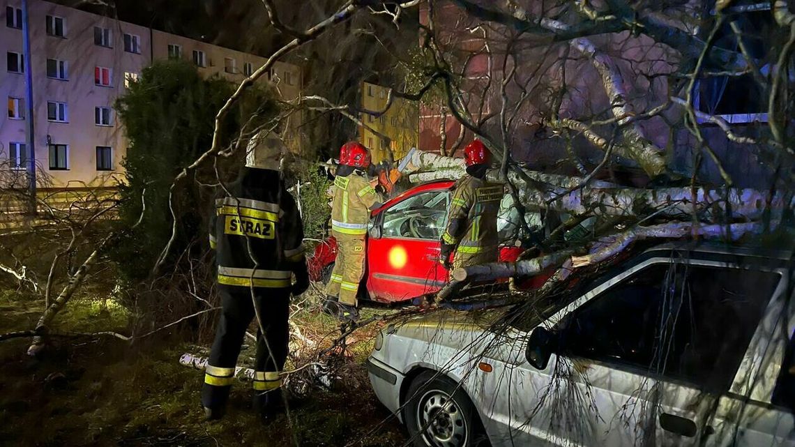 Alert IMGW dla lubelskiego. Ostrzeżenie przed silnym wiatrem