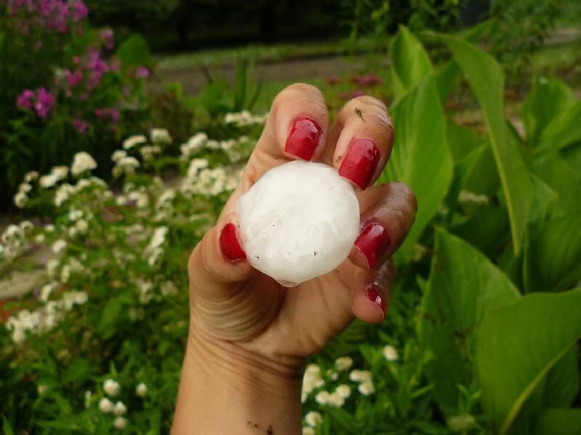 Alert pogodowy. Nadchodzą burze i wichury