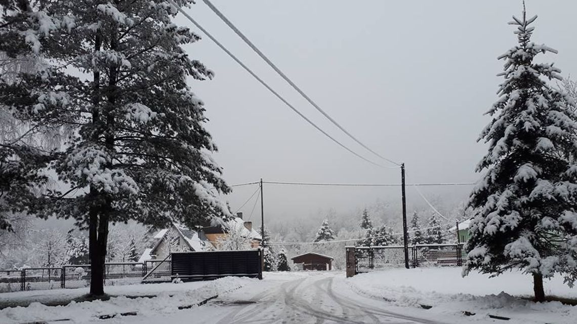 Alpina Sport Sylwester Muszyna  - każdy ciało swe wygina