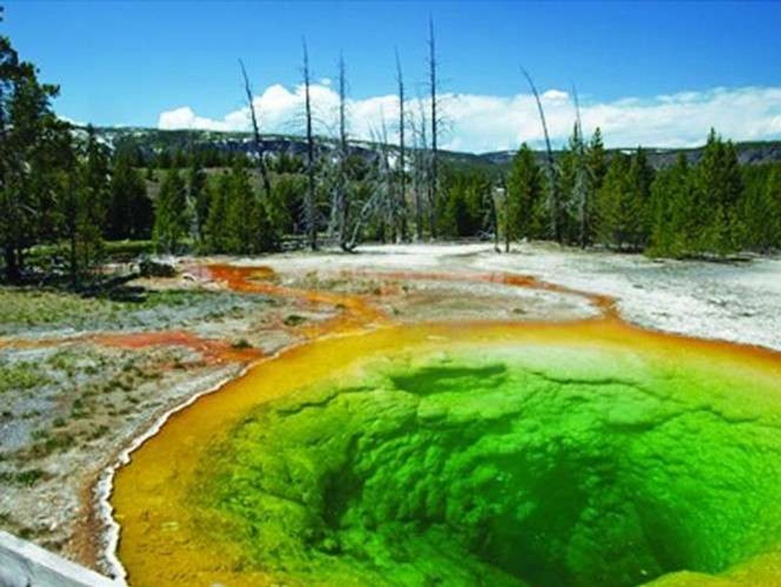 Amerykańskie krajobrazy. Wystawa w Muzeum UMCS