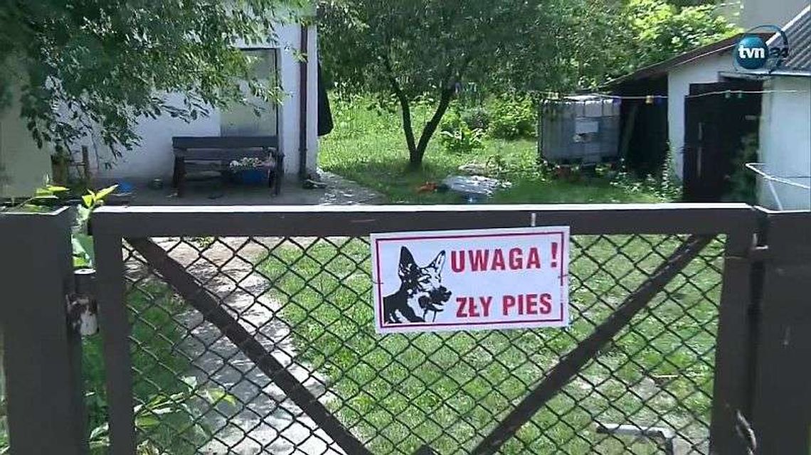 Amstaf zaatakował dzieci, w tym niemowlę. Jest śledztwo w tej sprawie