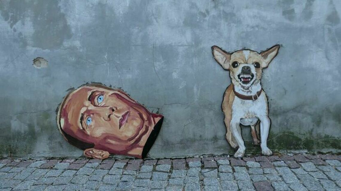 Amsterdamski ratlerek i głowa. Nowy street art na lubelskim Starym Mieście Amsterdamski ratlerek i głowa. Nowy street art na lubelskim Starym Mieście