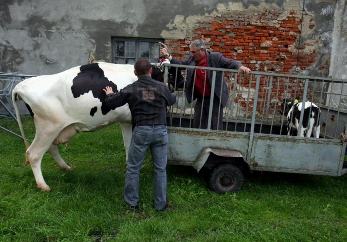 Ankieterzy przepytają rolników. Sprawdzą, z czego żyją i co mają w stodole 