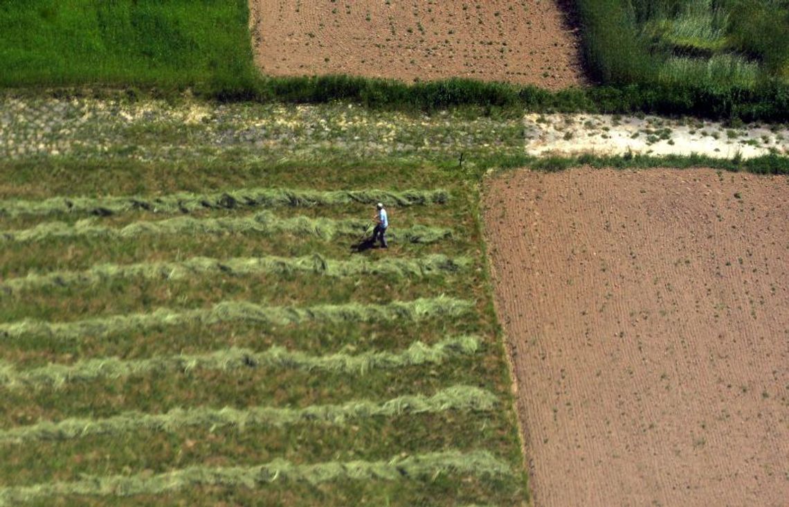 ANR: Ruszają przetargi na zakup ziemi przez rolników