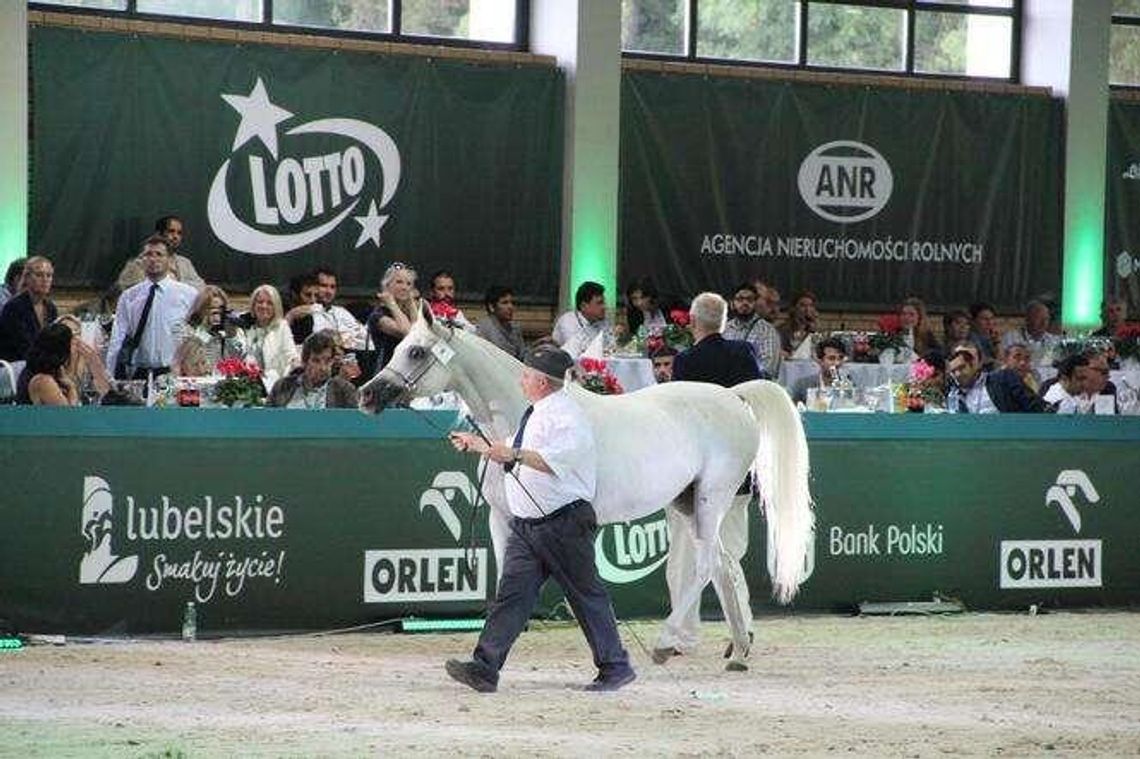 ANR zapowiada audyt aukcji Pride Of Poland