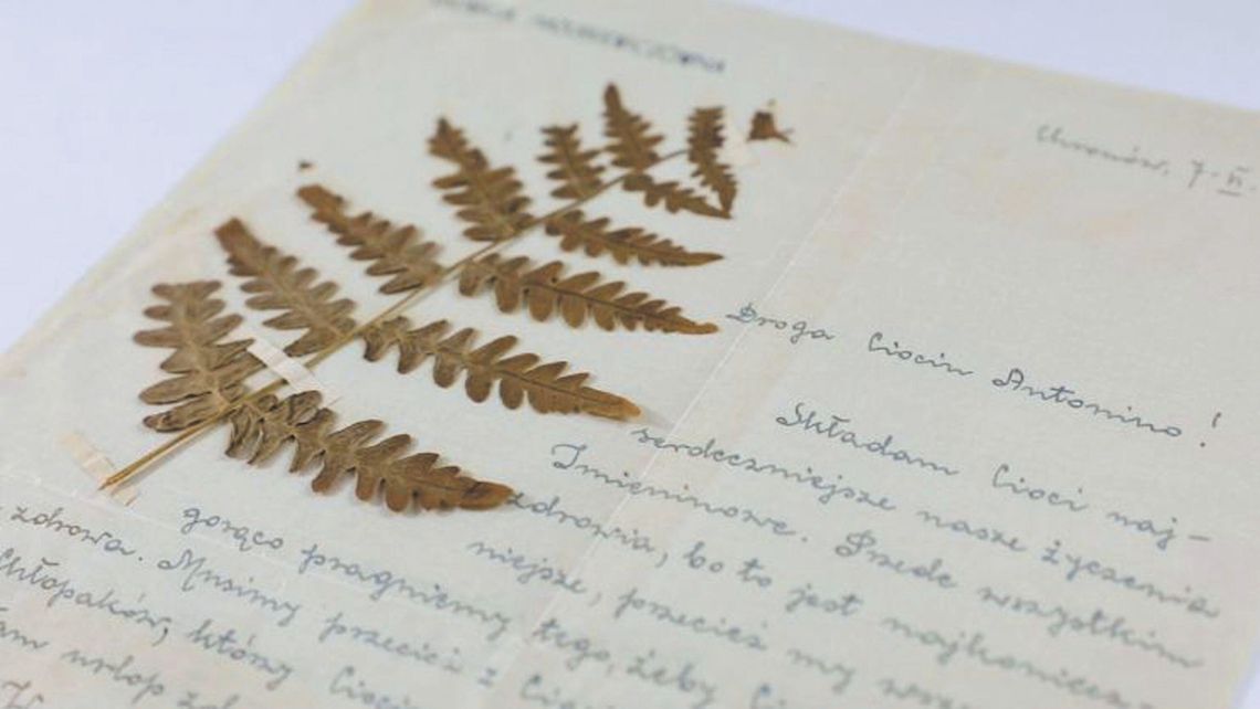 Antonina Grygowa w trakcie II wojny światowej robiła w Lublinie niezwykłe rzeczy. Muzeum dostało zbiór grypsów Antonina Grygowa w trakcie II wojny światowej robiła w Lublinie niezwykłe rzeczy. Muzeum dostało zbiór grypsów