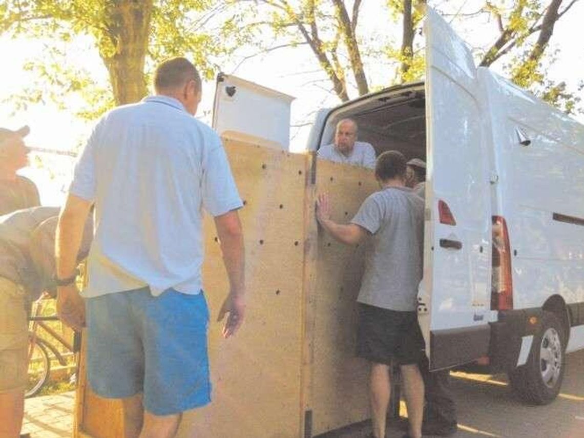 Antylopa przyjechała w skrzyni. Jest też kanguroszczur Antylopa przyjechała w skrzyni. Jest też kanguroszczur