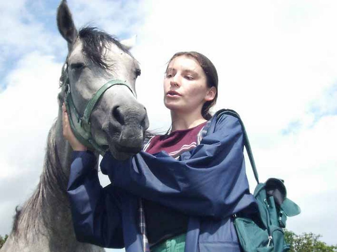 Araby dla szejków Araby dla szejków